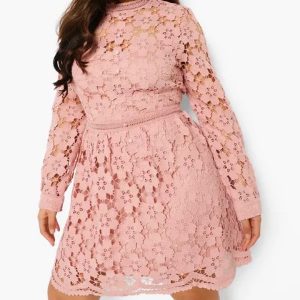 Plus Premium Guipure Lace Skater Dress